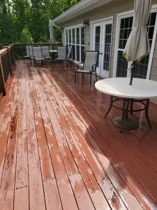 Staining Gallery
