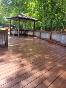 Staining Gallery
